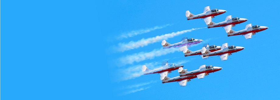 snowbirds